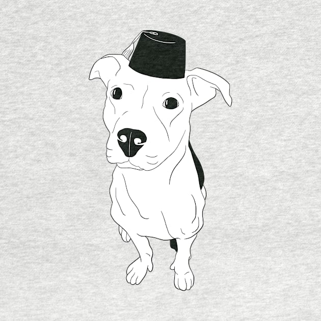 Pitbull with Fez by Can Caner